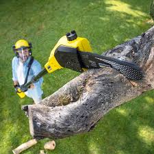 Best Tree Mulching  in Alhambra, CA