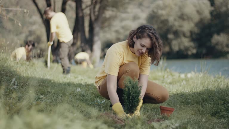 Best Lawn Maintenance Plans  in Alhambra, CA